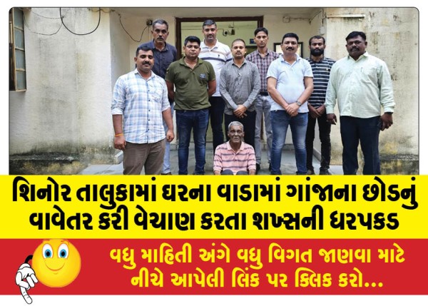 MailVadodara.com - Man-arrested-for-planting-and-selling-marijuana-plants-in-his-yard-in-Shinor-taluka