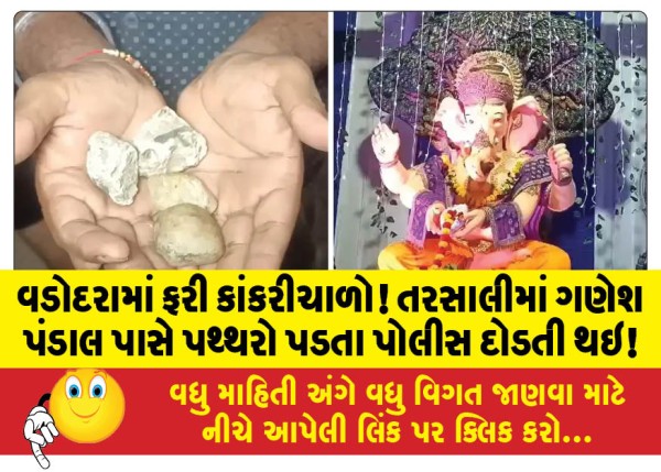 MailVadodara.com - Stone-pelting-again-in-Vadodara-Police-rushed-to-the-spot-after-stones-were-thrown-near-the-Ganesh-Pandal-in-Tarsali