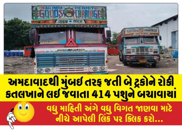 MailVadodara.com - Two-trucks-heading-from-Ahmedabad-to-Mumbai-were-stopped-and-414-animals-were-rescued-from-being-taken-to-the-slaughterhouse