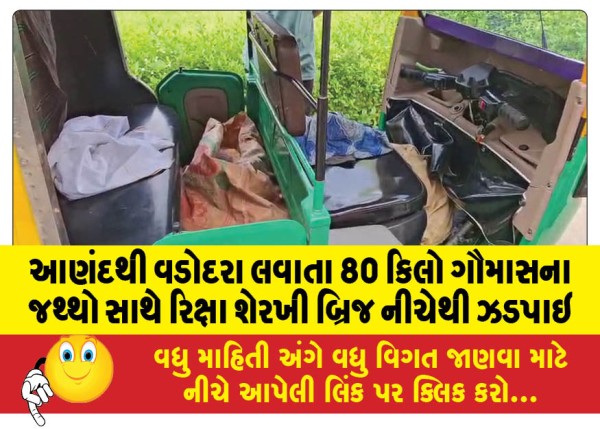 MailVadodara.com - Rickshaw-carrying-80-kg-of-beef-being-brought-from-Anand-to-Vadodara-was-seized-from-under-Sherkhi-Bridge