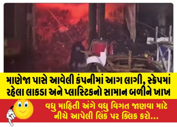 MailVadodara.com - Fire-breaks-out-at-company-near-Maneja-wooden-and-plastic-items-in-scrap-yard-gutted