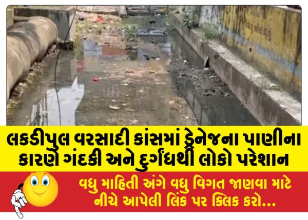 MailVadodara.com - People-are-troubled-by-dirt-and-stench-due-to-drainage-water-in-Lakdipul-Rainy-Season