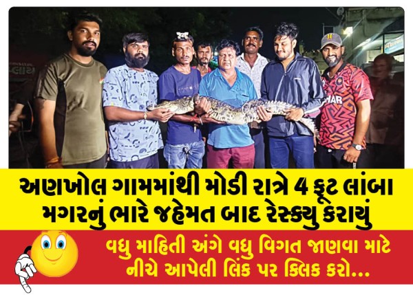 MailVadodara.com - A-4-foot-long-crocodile-was-rescued-from-Ankhol-village-late-at-night-after-a-lot-of-effort