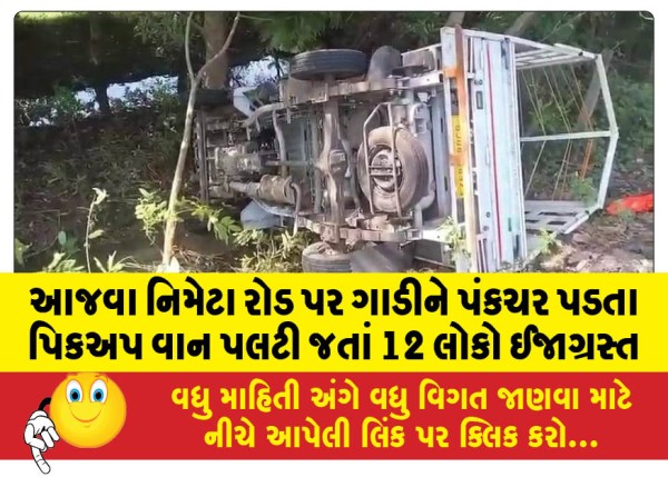 MailVadodara.com - 12-people-injured-as-pickup-van-overturns-after-car-gets-punctured-on-Ajwa-Nimeta-Road