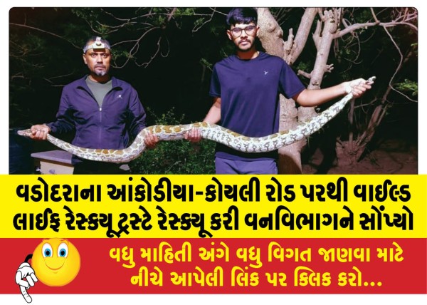 MailVadodara.com - Wildlife-Rescue-Trust-rescued-it-from-Ankodiya-Koyali-road-in-Vadodara-and-handed-it-over-to-the-Forest-Department