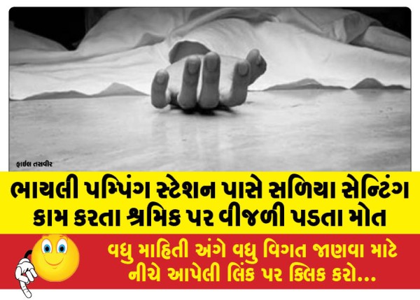 MailVadodara.com - Worker-struck-by-lightning-while-working-on-rod-setting-near-Bhayli-pumping-station-dies