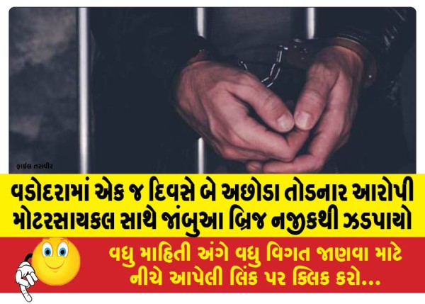 MailVadodara.com - The-accused-who-broke-two-houses-in-a-single-day-in-Vadodara-was-caught-with-a-motorcycle-near-Jambua-Bridge
