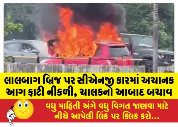 MailVadodara.com - A-fire-suddenly-broke-out-in-a-CNG-car-on-Lalbagh-Bridge-the-driver-escaped-unhurt