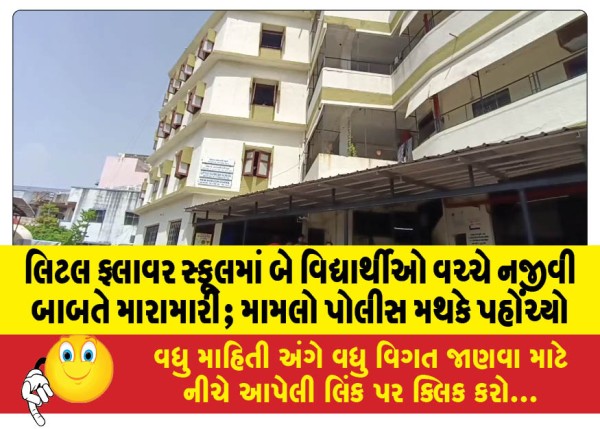 MailVadodara.com - Two-students-in-Little-Flower-School-fight-over-a-trivial-matter-matter-reaches-police-station