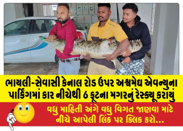 MailVadodara.com - A-6-foot-crocodile-was-rescued-from-under-a-car-in-the-parking-lot-of-Ashvamedh-Avenue-on-Bhayli-Sevasi-Canal-Road