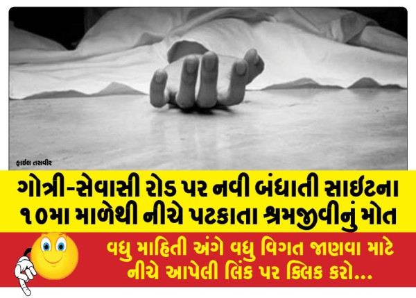 MailVadodara.com - Worker-dies-after-falling-from-10th-floor-of-new-construction-site-on-Gotri-Sevasi-road