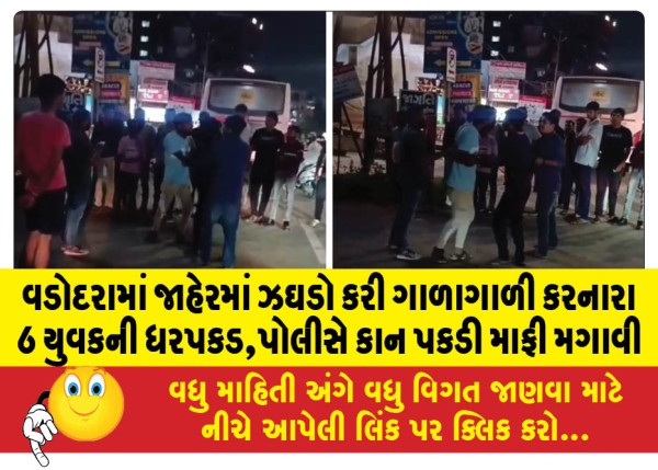 MailVadodara.com - 6-youths-arrested-for-public-quarrel-and-abuse-in-Vadodara-police-hold-their-ears-and-apologize