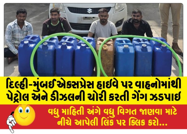 MailVadodara.com - Gang-caught-stealing-petrol-and-diesel-from-vehicles-on-Delhi-Mumbai-Expressway