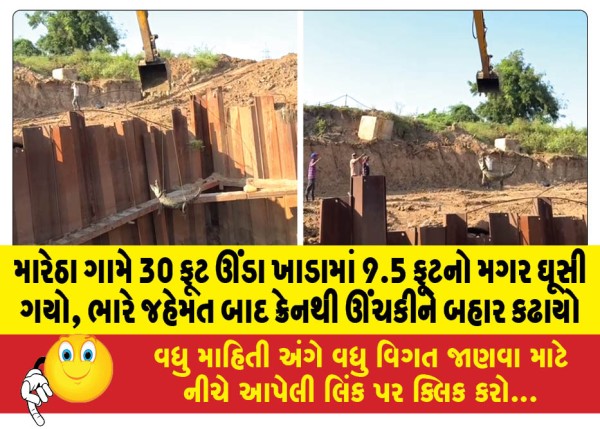 MailVadodara.com - A-9-5-foot-crocodile-entered-a-30-foot-deep-pit-in-Maretha-village-after-much-difficulty-it-was-lifted-out-with-a-crane