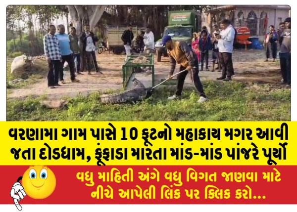 MailVadodara.com - A-10-foot-long-crocodile-ran-and-snorted-as-it-approached-the-village-of-Varanasi-barely-filling-its-cage