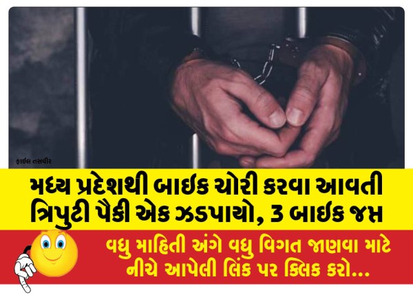 MailVadodara.com - One-of-the-trio-coming-from-Madhya-Pradesh-to-steal-bikes-caught-3-bikes-seized