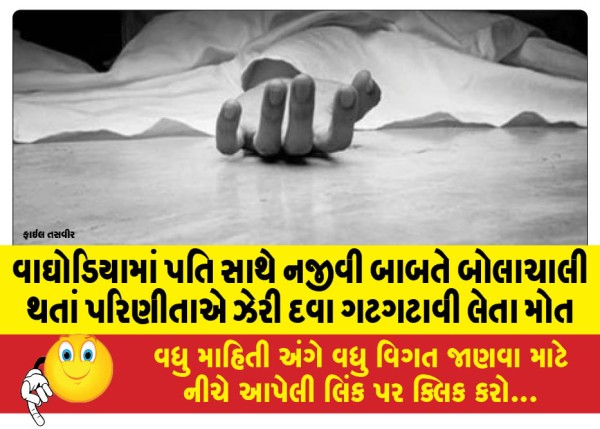 MailVadodara.com - A-woman-in-Waghodia-died-after-swallowing-poison-after-arguing-with-her-husband-over-a-trivial-matter