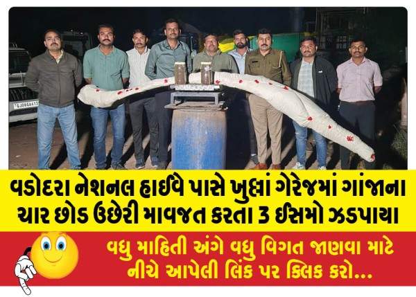 MailVadodara.com - 3-people-caught-growing-and-cultivating-four-marijuana-plants-in-an-open-garage-near-Vadodara-National-Highway