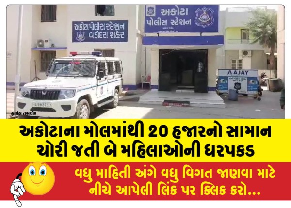 MailVadodara.com - Two-women-arrested-for-stealing-goods-worth-Rs-20-000-from-Akota-mall