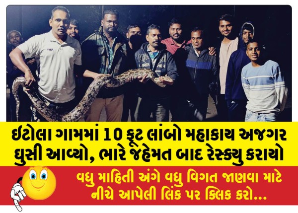 MailVadodara.com - A-10-foot-long-giant-python-entered-Etola-village-rescued-after-a-lot-of-effort