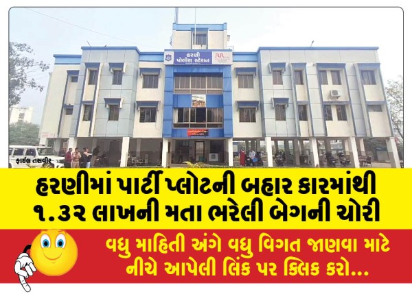 MailVadodara.com - Bag-worth-Rs-1-32-lakh-stolen-from-car-outside-party-plot-in-Harni