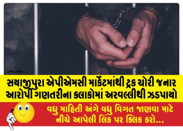 MailVadodara.com - The-accused-who-stole-a-truck-from-Sayajipura-APMC-market-was-caught-from-Aravalli-within-hours