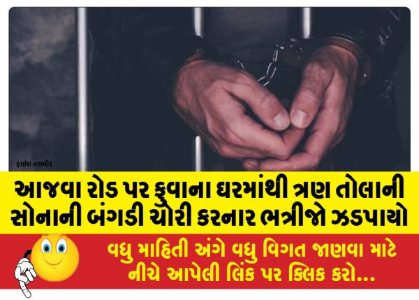 MailVadodara.com - Nephew-arrested-for-stealing-three-tola-gold-bangles-from-Phuvas-house-on-Ajwa-Road