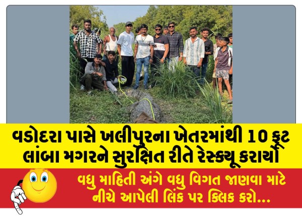 MailVadodara.com - 10-foot-long-crocodile-safely-rescued-from-a-farm-in-Khalipur-near-Vadodara