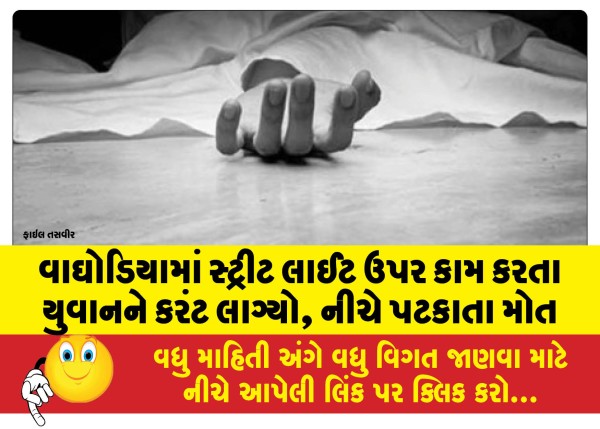 MailVadodara.com - A-young-man-working-on-a-street-light-in-Voghodia-was-electrocuted-and-died-after-falling-down