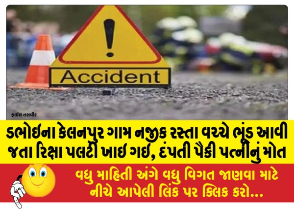 MailVadodara.com - A-rickshaw-overturned-after-a-boar-came-in-the-middle-of-the-road-near-Kelanpur-village-in-Dabhoi-killing-the-wife-of-the-couple
