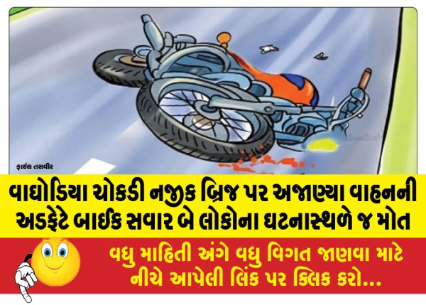 MailVadodara.com - Two-people-riding-a-bike-died-on-the-spot-after-being-hit-by-an-unknown-vehicle-on-the-bridge-near-Waghodia-intersection