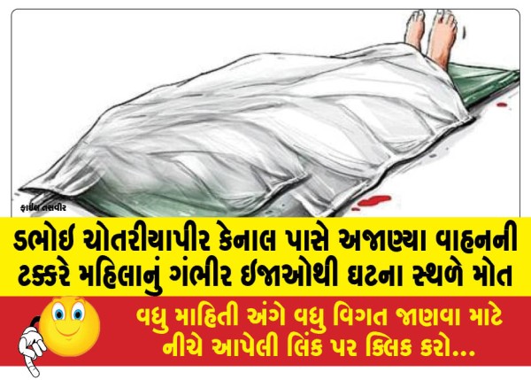 MailVadodara.com - Woman-dies-on-the-spot-after-being-hit-by-unknown-vehicle-near-Dabhoi-Chotriyapir-Canal-due-to-serious-injuries