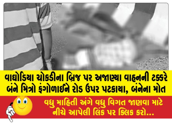 MailVadodara.com - Both-friends-were-thrown-onto-the-road-after-being-hit-by-an-unknown-vehicle-on-the-bridge-at-Waghodia-intersection-both-died
