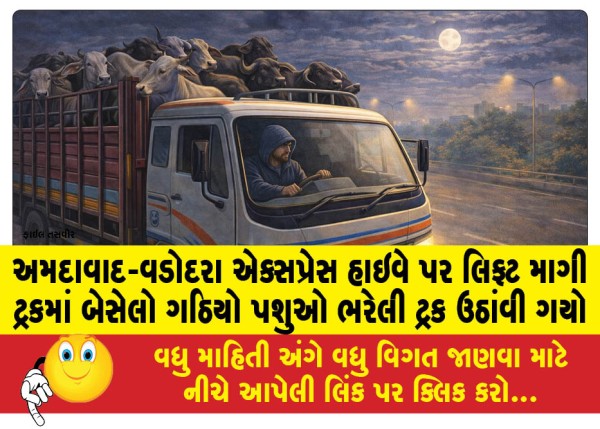 MailVadodara.com - A-man-sitting-in-a-truck-asking-for-a-lift-on-the-Ahmedabad-Vadodara-Express-Highway-hijacked-a-truck-full-of-cattle