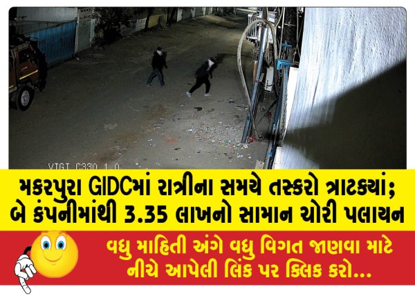 MailVadodara.com - Smugglers-strike-at-Makarpura-GIDC-at-night-goods-worth-Rs-3-35-lakh-stolen-from-two-companies-and-fled