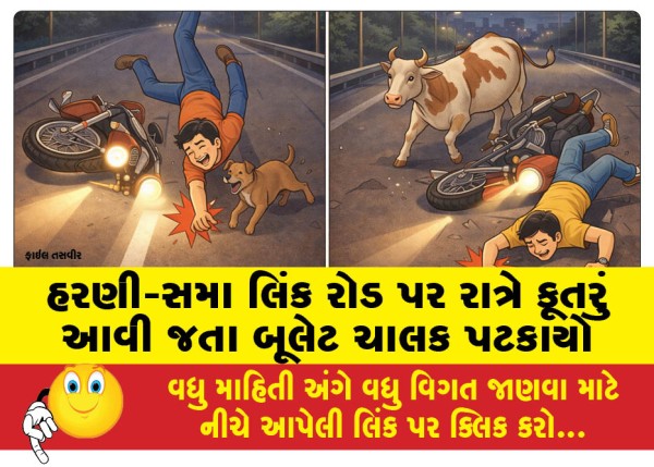 MailVadodara.com - Harni-Sama-Link-Road-at-Bullet-driver-hit-by-dog