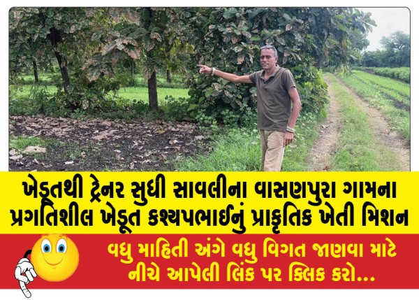 MailVadodara.com - From-farmer-to-trainer-Kashyapbhai-a-progressive-farmer-from-Vasanpura-village-in-Savlis-natural-farming-mission