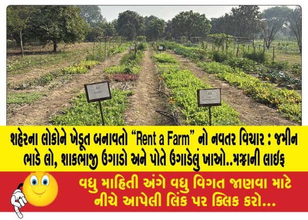 MailVadodara.com - Rent-a-Farms-innovative-idea-turns-city-dwellers-into-farmers-savli