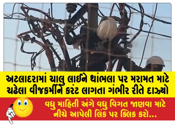 MailVadodara.com - An-electrician-who-climbed-a-pole-to-repair-an-electric-line-in-Atladara-was-seriously-burned-after-being-electrocuted