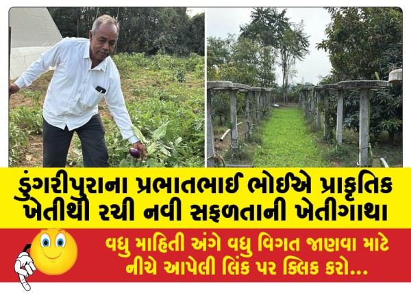 MailVadodara.com - Prabhatbhai-Bhoi-of-Dungaripura-created-a-new-farming-success-story-through-natural-farming