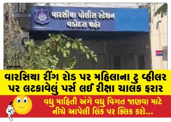 MailVadodara.com - Rickshaw-driver-absconds-with-purse-hanging-from-womans-two-wheeler-on-Warsia-Ring-Road