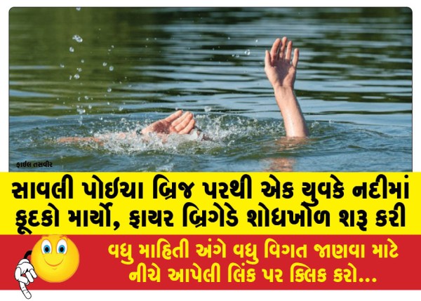 MailVadodara.com - A-youth-jumped-into-the-river-from-the-Savli-Poicha-Bridge-the-fire-brigade-started-a-search