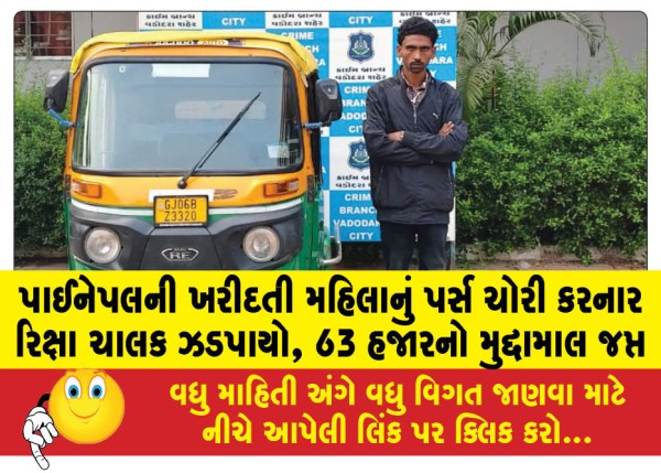 MailVadodara.com - Rickshaw-driver-arrested-for-stealing-purse-of-woman-buying-pineapple-valuables-worth-Rs-63000-seized