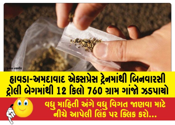 MailVadodara.com - 12-kg-760-grams-of-marijuana-seized-from-an-unauthorized-trolley-bag-on-Howrah-Ahmedabad-Express-train