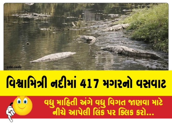 MailVadodara.com - 417-crocodiles-inhabit-the-Vishwamitri-River