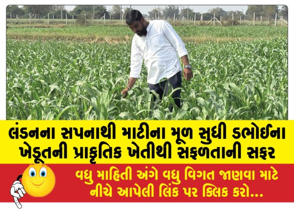 MailVadodara.com - From-London-dreams-to-the-roots-of-the-soil-a-Dabhoi-farmers-journey-to-success-through-natural-farming