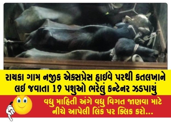 MailVadodara.com - Container-containing-19-animals-being-taken-to-slaughterhouse-from-express-highway-near-Raika-village