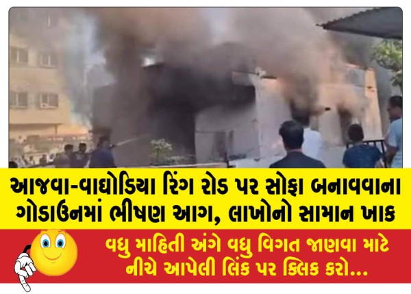MailVadodara.com - Massive-fire-breaks-out-in-sofa-manufacturing-godown-on-Ajwa-Waghodia-Ring-Road-goods-worth-lakhs-gutted