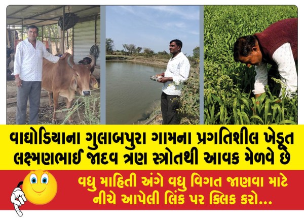 MailVadodara.com - Laxmanbhai-Jadav-a-progressive-farmer-from-Gulabpura-village-in-Waghodia-earns-income-from-three-sources