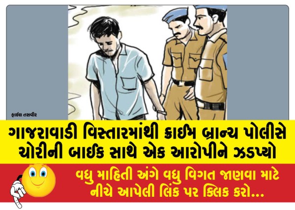 MailVadodara.com - Crime-Branch-police-arrested-an-accused-with-a-stolen-bike-from-Gajrawadi-area
